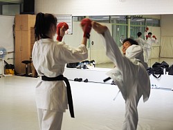 Training, practice
